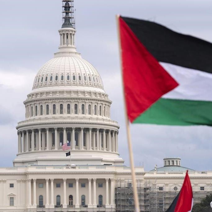 Half of Asian Americans and Pacific Islanders want more US support of Palestinians, a poll shows